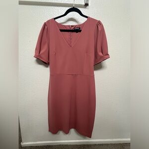 Express Large sheath dress